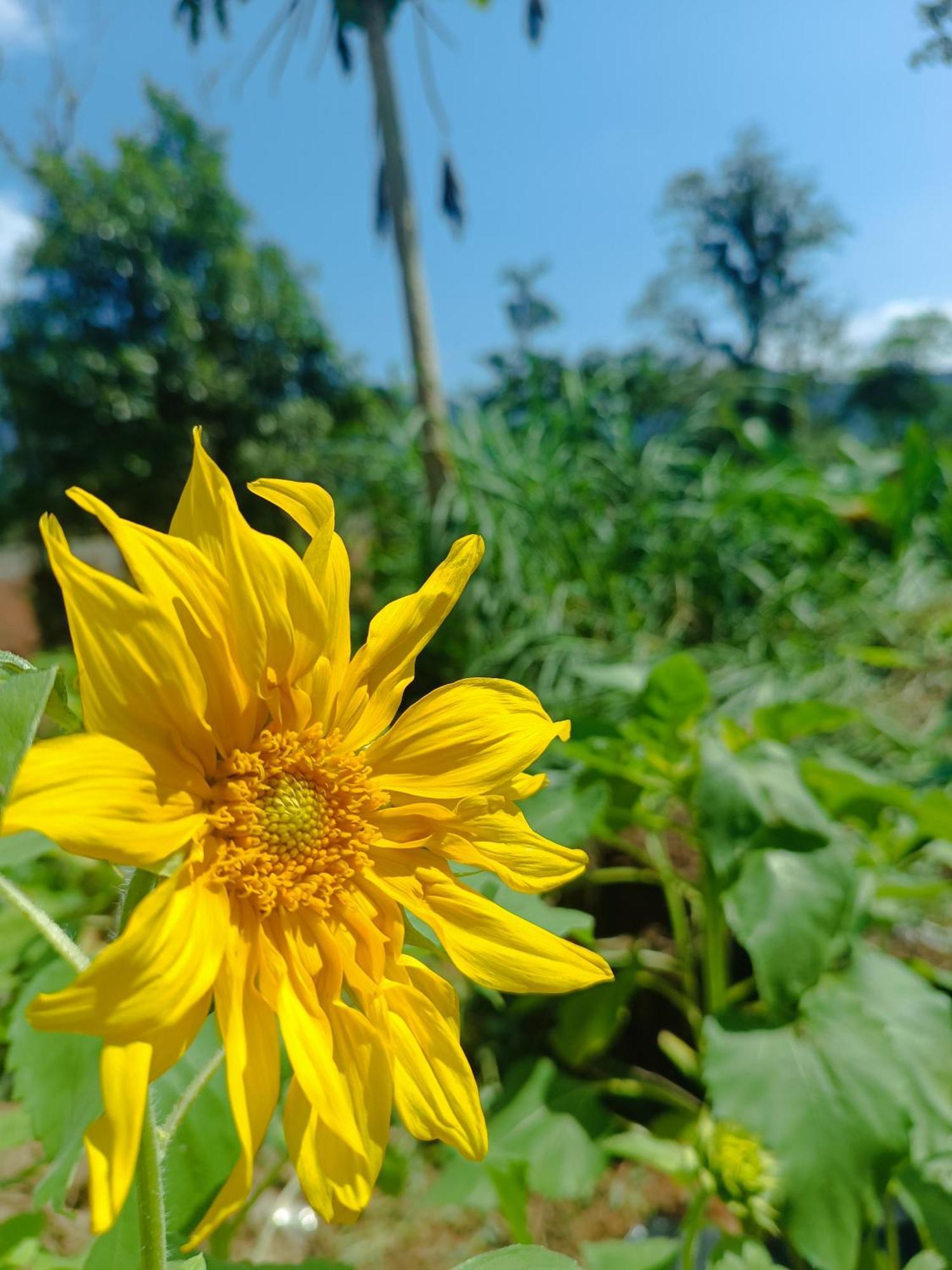 Casa de férias Aloha#sossego