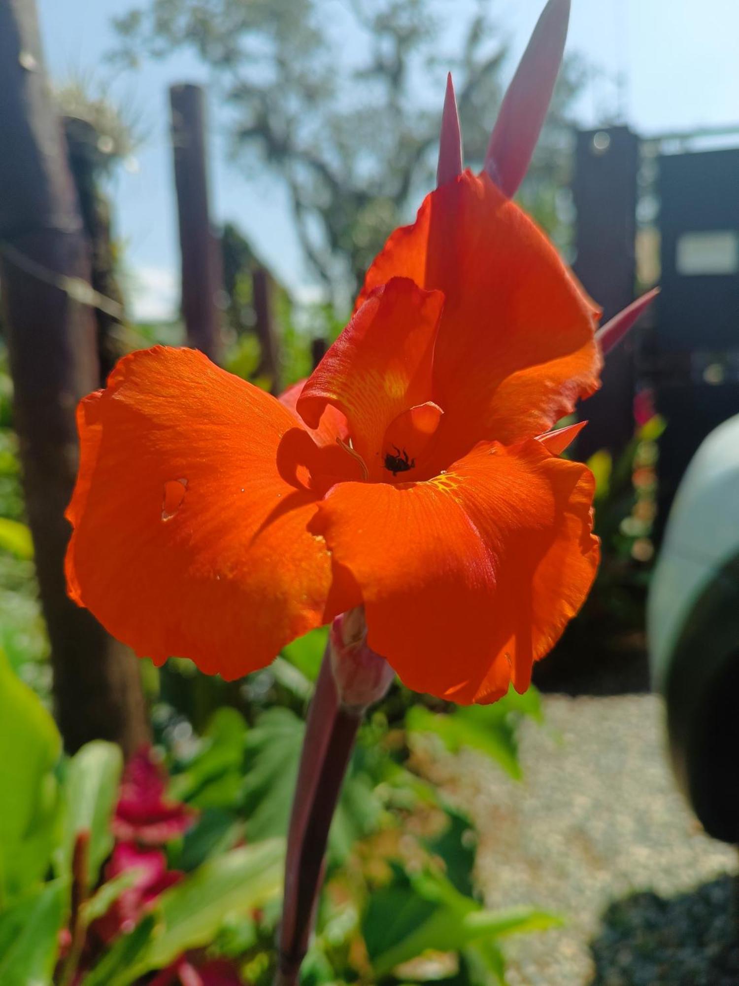Casa de férias Aloha#sossego Ubatuba
